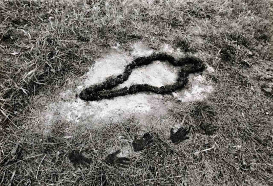 Ana Mendieta